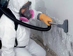 Best Crawl Space Mold Remediation  in Santa Clarita, CA